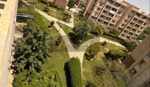 2 Bedroom Flat for Rent in Madinaty, Cairo - 1000769975. jpg
