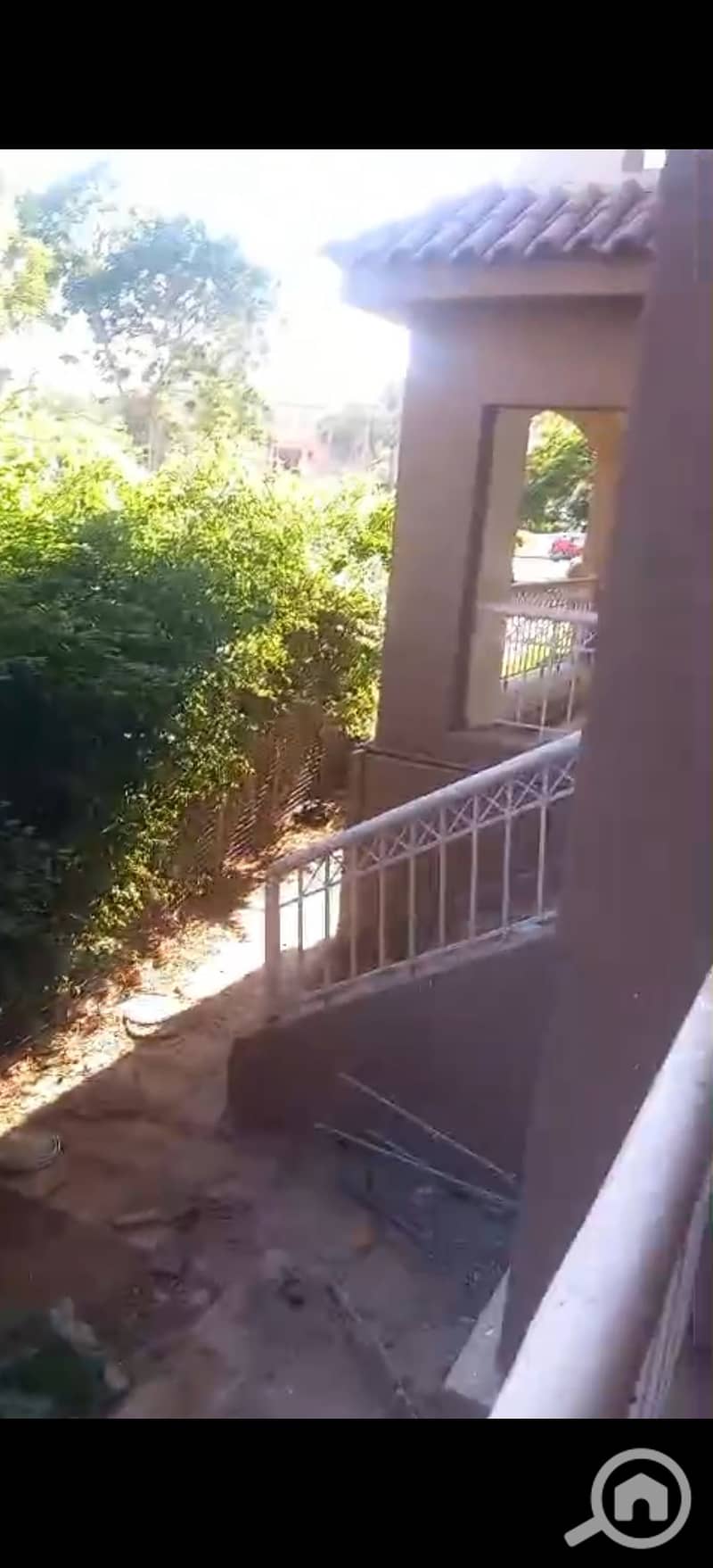 4 556773. jpg