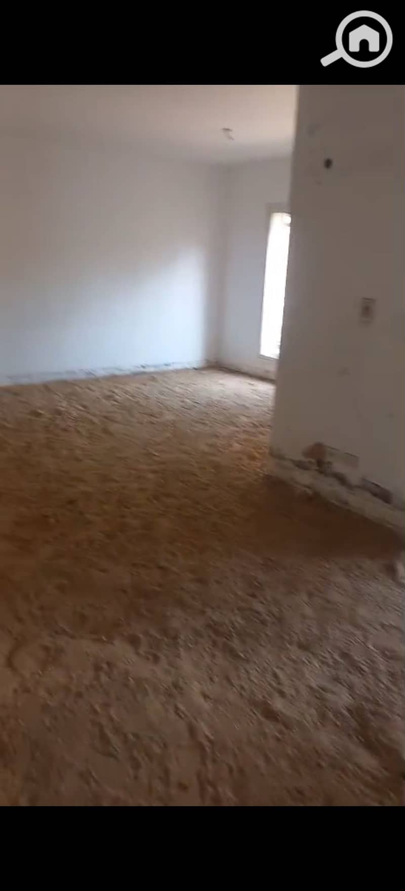 3 556772. jpg