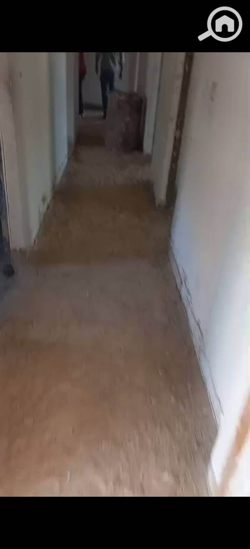 7 556765. jpg