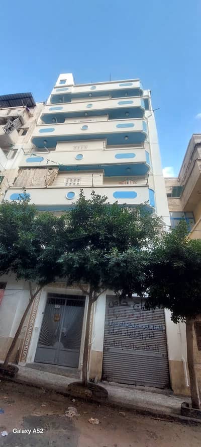 محلات تجارية  للايجار في شدس، الإسكندرية - محل للإيجار في شوتس تشطيب لوكس به حمام مساحة المحل 65 متر