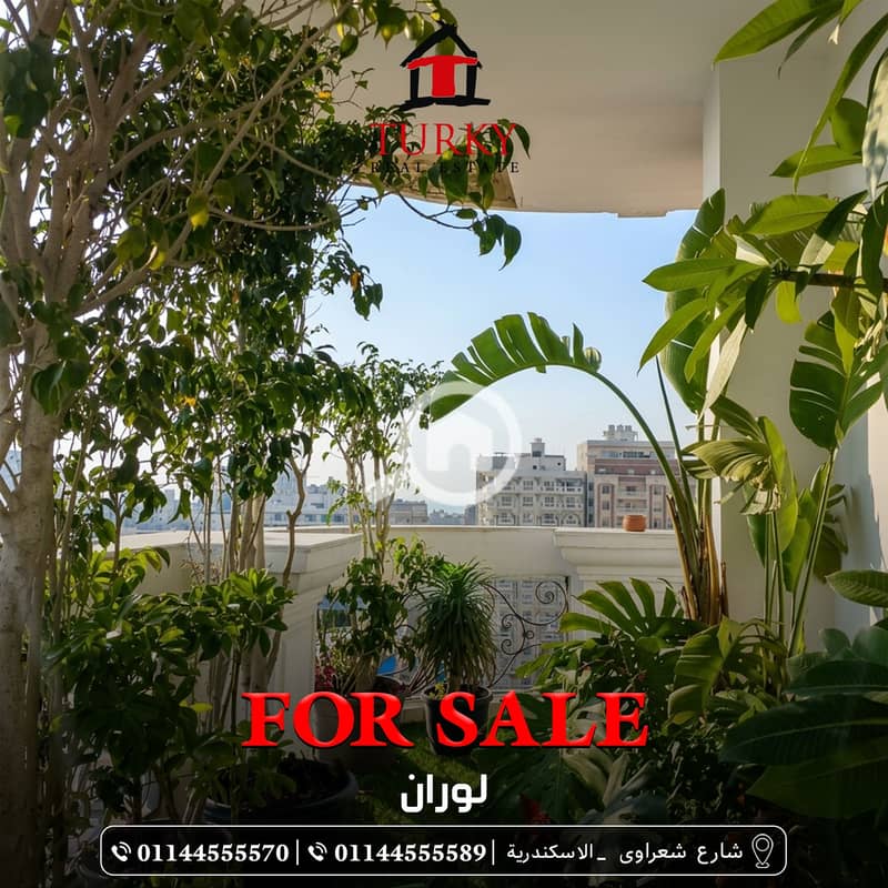 4 تركى11. jpg. jpeg