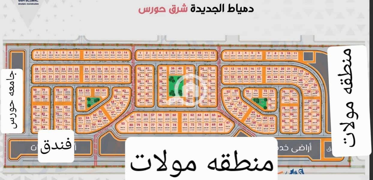 6 1000317903. jpg