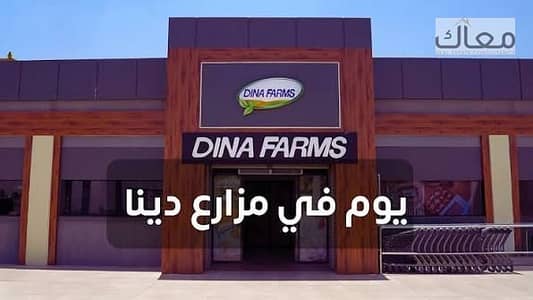 محلات تجارية للبيع في زهراء المعادى، القاهرة - images (16). jpg محلات تجارية للبيع في زهراء المعادى، القاهرة - images (16). jpg