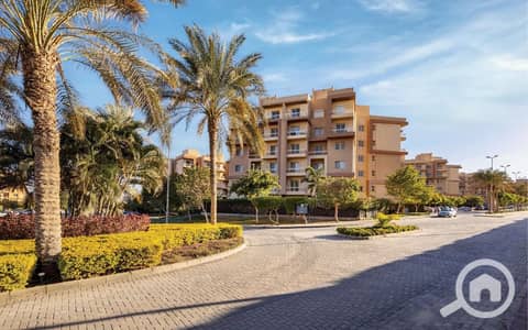 3 Bedroom Penthouse for Sale in 6th of October, Giza - WhatsApp Image 2026-08-20 at 12.24. 17 PM (1). jpeg 3 Bedroom Penthouse for Sale in 6th of October, Giza - WhatsApp Image 2026-08-20 at 12.24. 17 PM (1). jpeg
