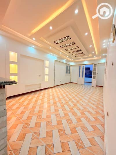 2 Bedroom Flat for Sale in Nakheel, Alexandria - 93fc7481-5716-45c5-af78-e680f73df734. jpg