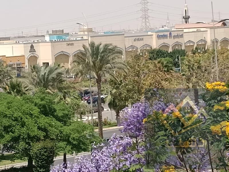 22 280342. jpg