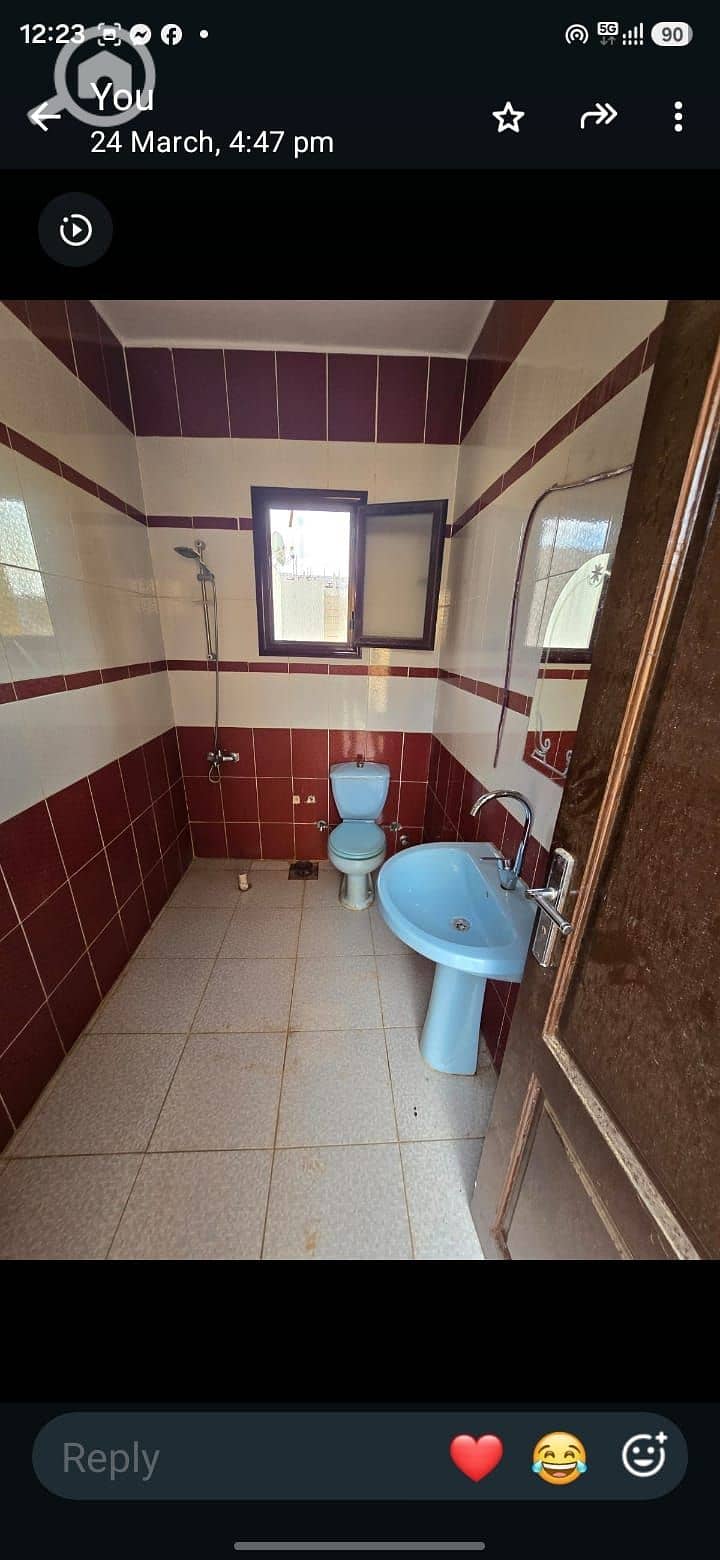 7 1000416440. jpg