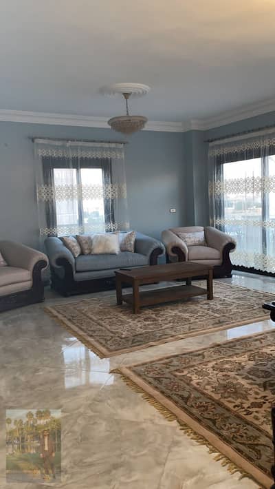 4 Bedroom Apartment for Rent in New Cairo, Cairo - 1000897570. jpg 4 Bedroom Apartment for Rent in New Cairo, Cairo - 1000897570. jpg