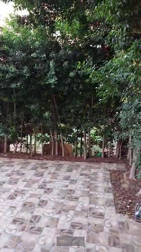 8 WhatsApp Image 2026-08-20 at 1.22. 16 PM (4). jpeg