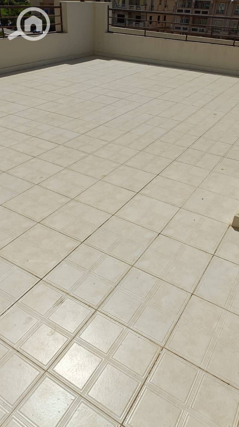 6 1000413830. jpg