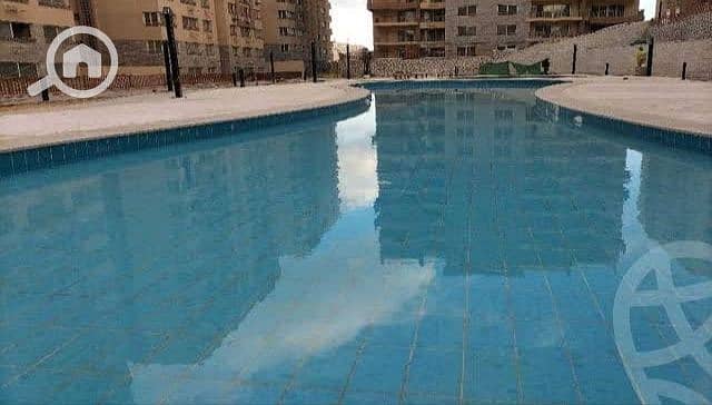 6 1000392481. jpg