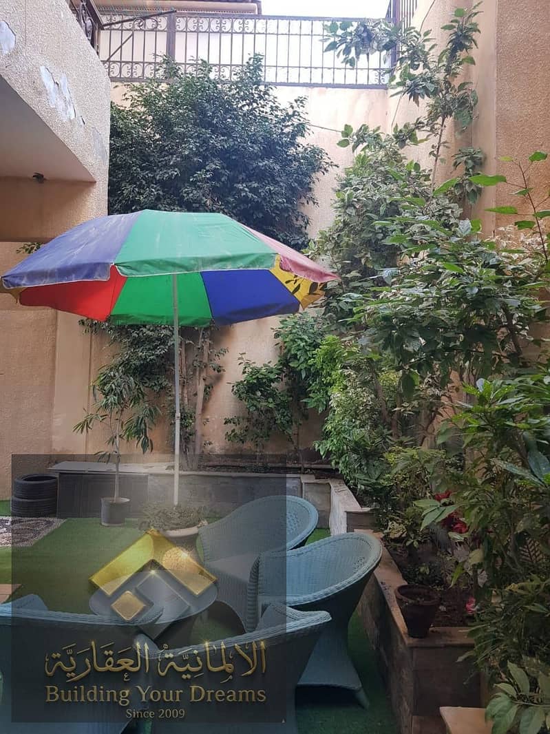 5 24671. jpg