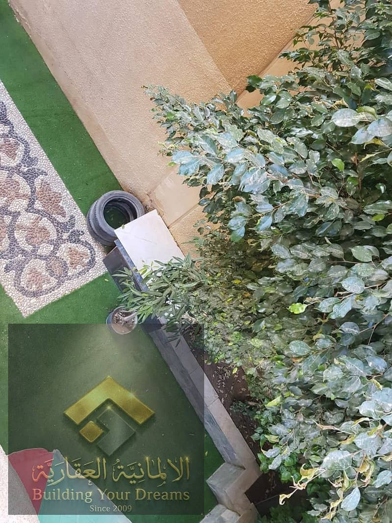 7 24667. jpg