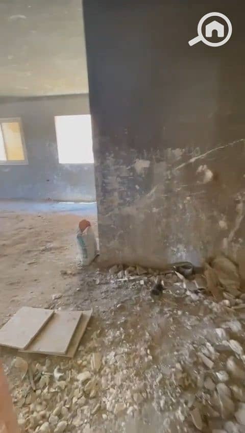 2 VID_20260820_134326_963. jpg