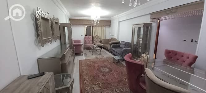 5 Bedroom Apartment for Rent in Camp Caesar, Alexandria - 1000232747. jpg 5 Bedroom Apartment for Rent in Camp Caesar, Alexandria - 1000232747. jpg