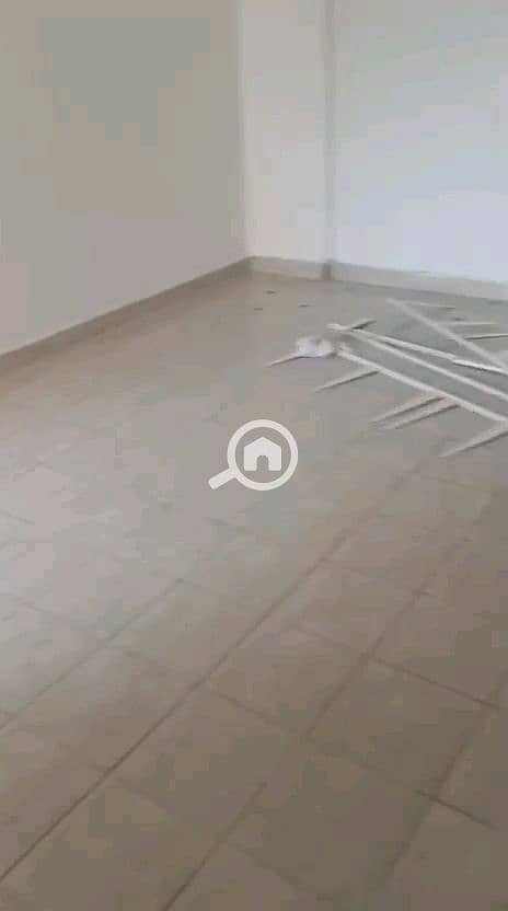 14 vf_VID-20260819-WA0039_142000. jpeg