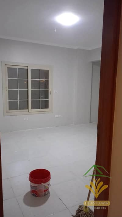 3 Bedroom Flat for Rent in New Cairo, Cairo - 1001202504. jpg 3 Bedroom Flat for Rent in New Cairo, Cairo - 1001202504. jpg