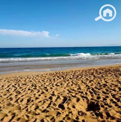 2 Bedroom Penthouse for Sale in Ras Sedr, Sinai - WhatsApp Image 2026-05-25 at 12.42. 17 PM. jpeg 2 Bedroom Penthouse for Sale in Ras Sedr, Sinai - WhatsApp Image 2026-05-25 at 12.42. 17 PM. jpeg