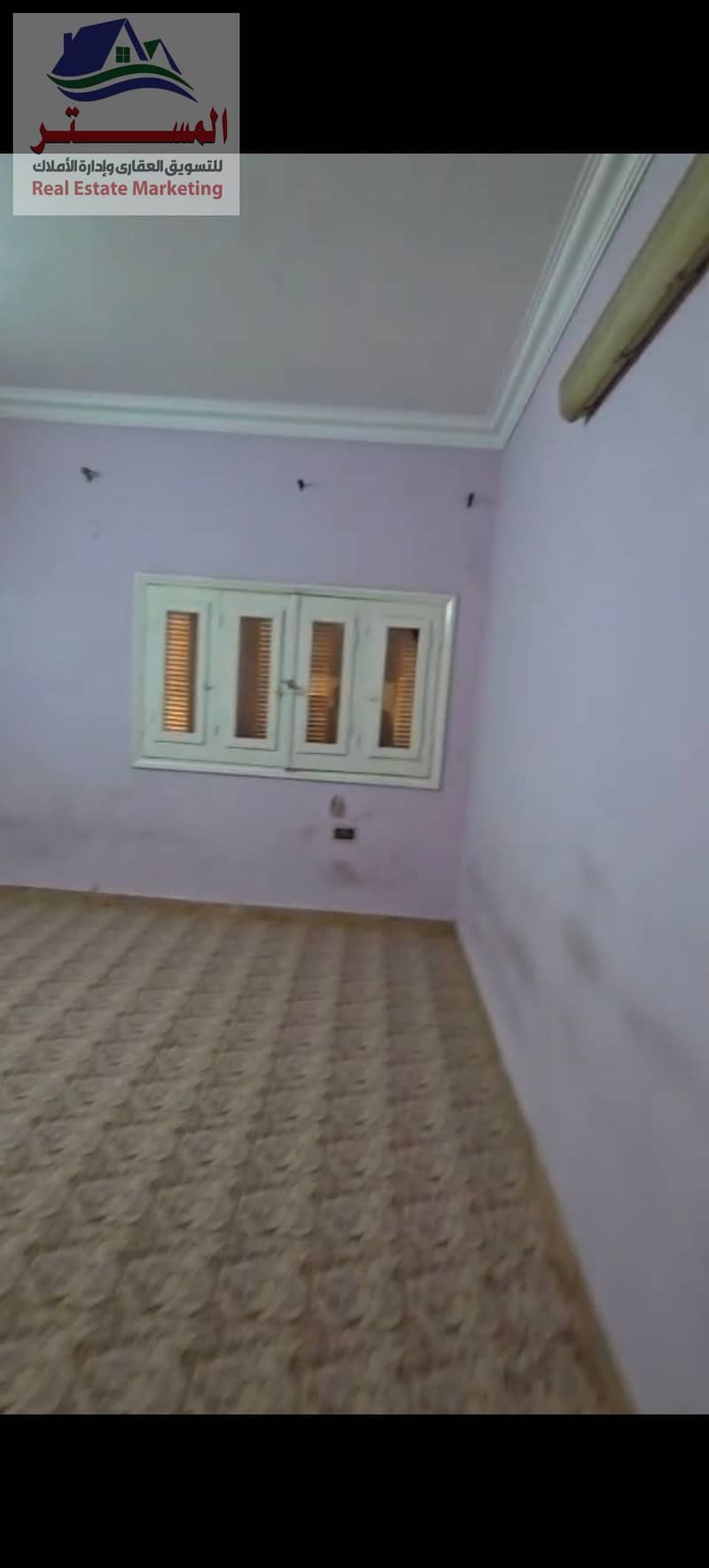 12 1000541037. jpg