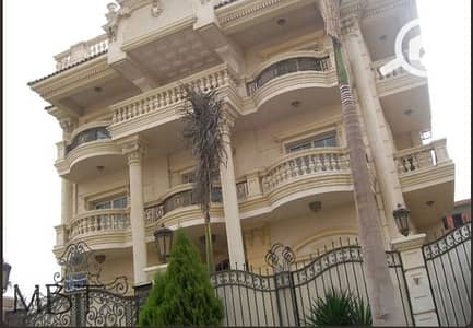 3 Bedroom Flat for Rent in New Cairo, Cairo - 9851. jpg 3 Bedroom Flat for Rent in New Cairo, Cairo - 9851. jpg