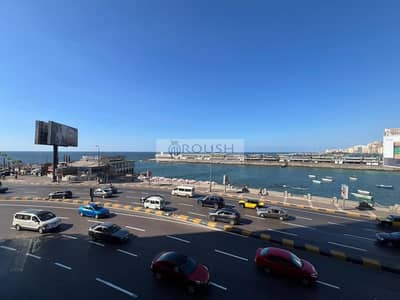 Office for Rent in Glim, Alexandria - WhatsApp Image 2026-08-19 at 9.53. 22 PM. jpeg Office for Rent in Glim, Alexandria - WhatsApp Image 2026-08-19 at 9.53. 22 PM. jpeg