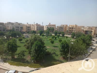 شقة 3 غرف نوم للايجار في القاهرة الجديدة، القاهرة - 98851. jpg شقة 3 غرف نوم للايجار في القاهرة الجديدة، القاهرة - 98851. jpg