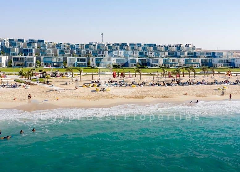 5 Screenshot_4-6-2025_162524_. jpeg