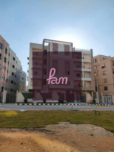 فلیٹ 3 غرف نوم للبيع في القاهرة الجديدة، القاهرة - IMG20250217154339. jpg