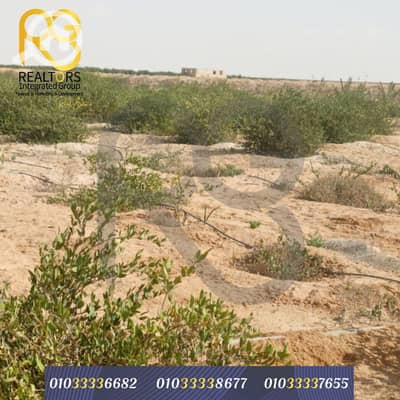 Commercial Land for Sale in Wadi al-Natrun, Beheira - 1. png