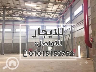 مصنع للايجار في مدينة بدر، القاهرة - 1000088624. png مصنع للايجار في مدينة بدر، القاهرة - 1000088624. png