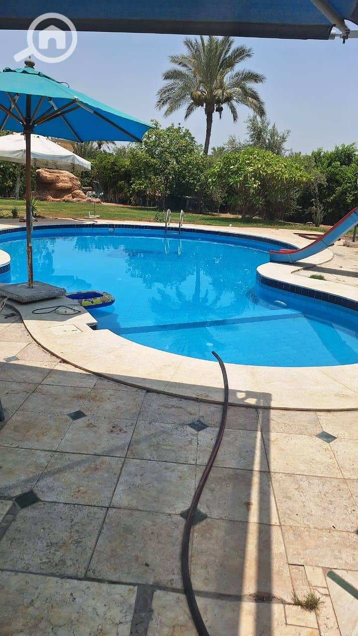 47039. jpg 47039. jpg