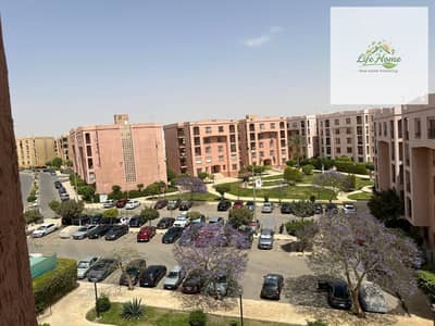 3 Bedroom Flat for Sale in New Cairo, Cairo - 1000245902. jpg 3 Bedroom Flat for Sale in New Cairo, Cairo - 1000245902. jpg
