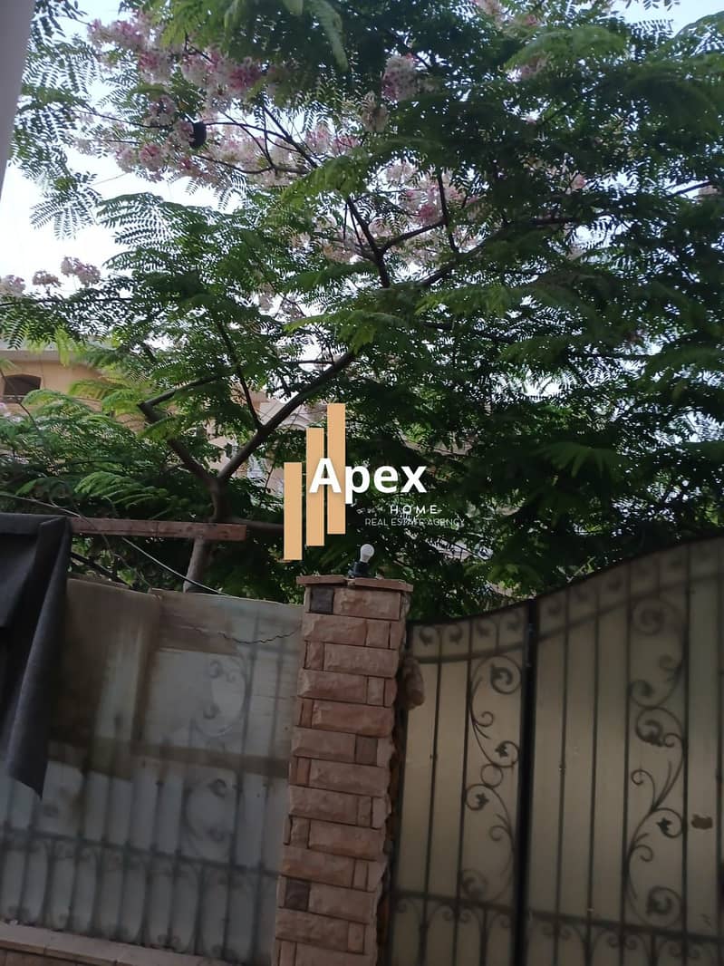 3 WhatsApp Image 2026-08-20 at 16.58. 13 (2). jpeg