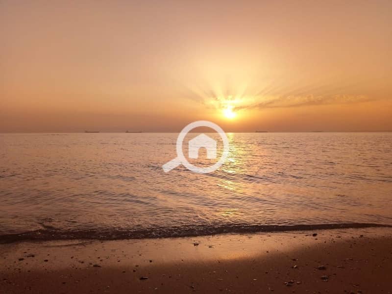 2 b409cd24-53cf-4a89-8c7c-c63dad1b939f. jpg