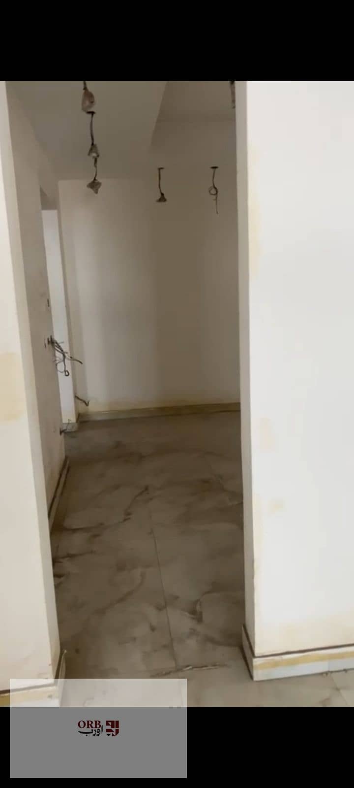 5 1000023354. jpg