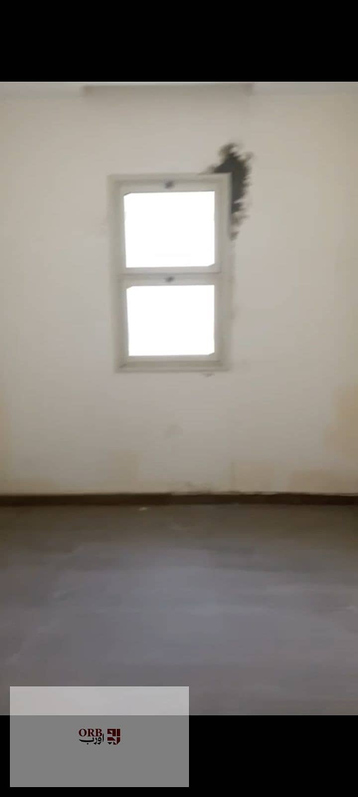 6 1000023353. jpg