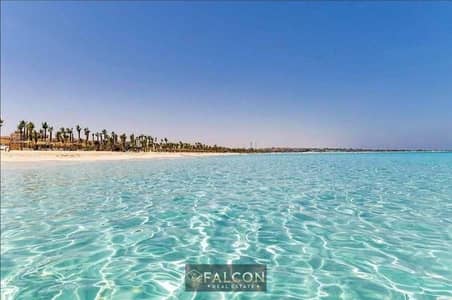 1 Bedroom Chalet for Sale in North Coast, Matruh - WhatsApp Image 2026-05-15 at 16.16. 18. jpeg 1 Bedroom Chalet for Sale in North Coast, Matruh - WhatsApp Image 2026-05-15 at 16.16. 18. jpeg