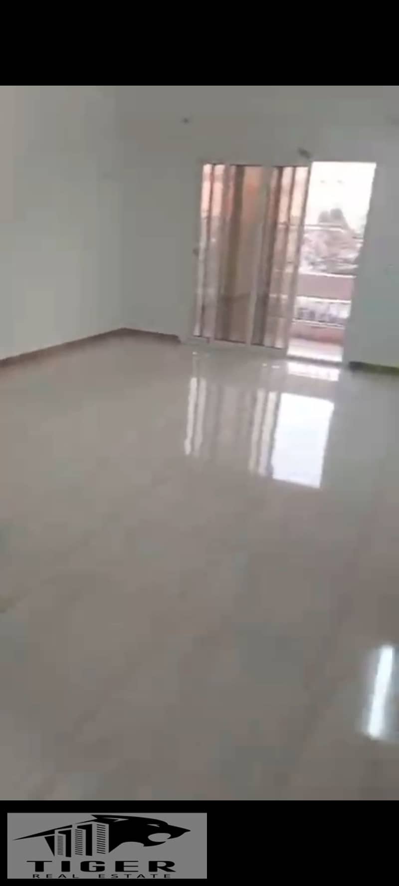 2 1000808066. jpg