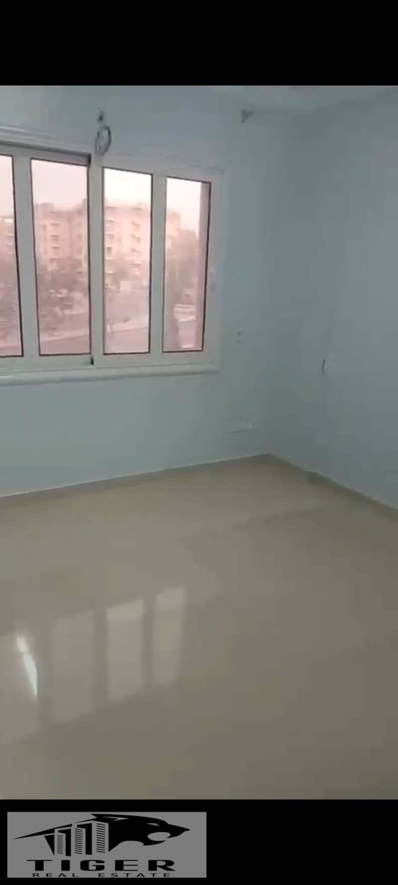 5 1000808077. jpg