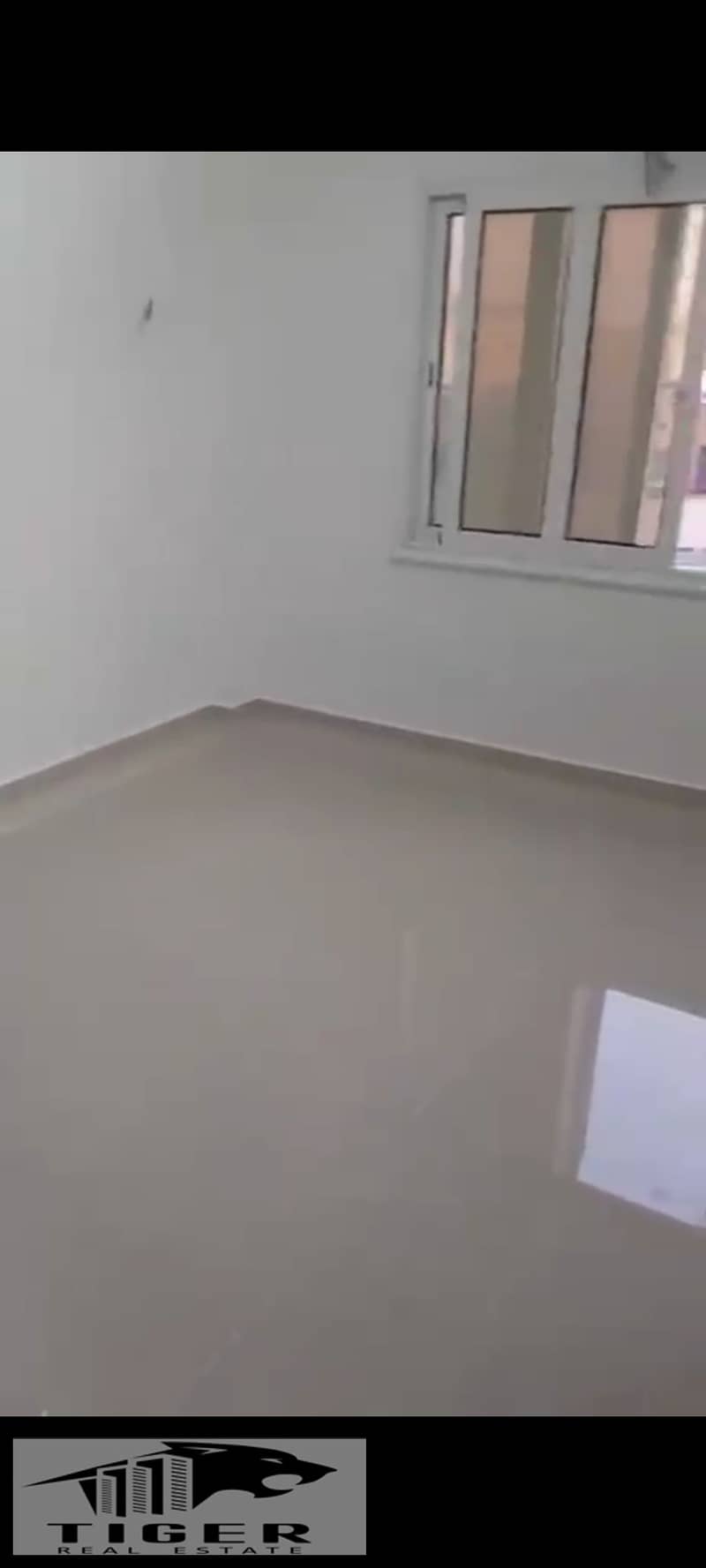 8 1000808080. jpg
