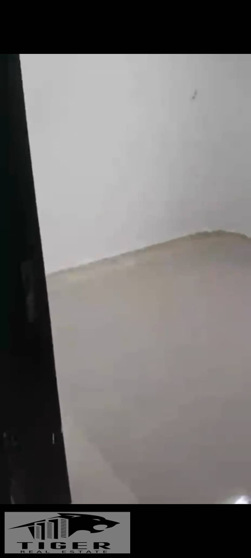 9 1000808079. jpg