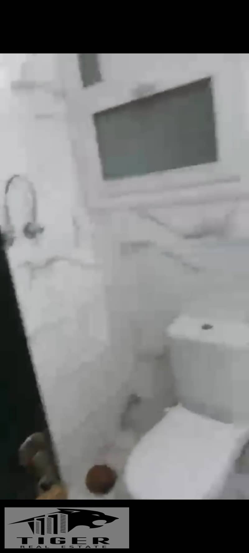 11 1000808085. jpg