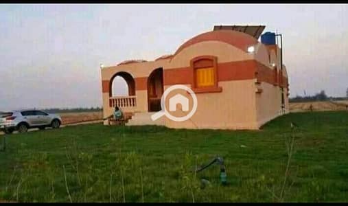 أرض زراعية  للبيع في 6 اكتوبر، الجيزة - 1000067339. jpg