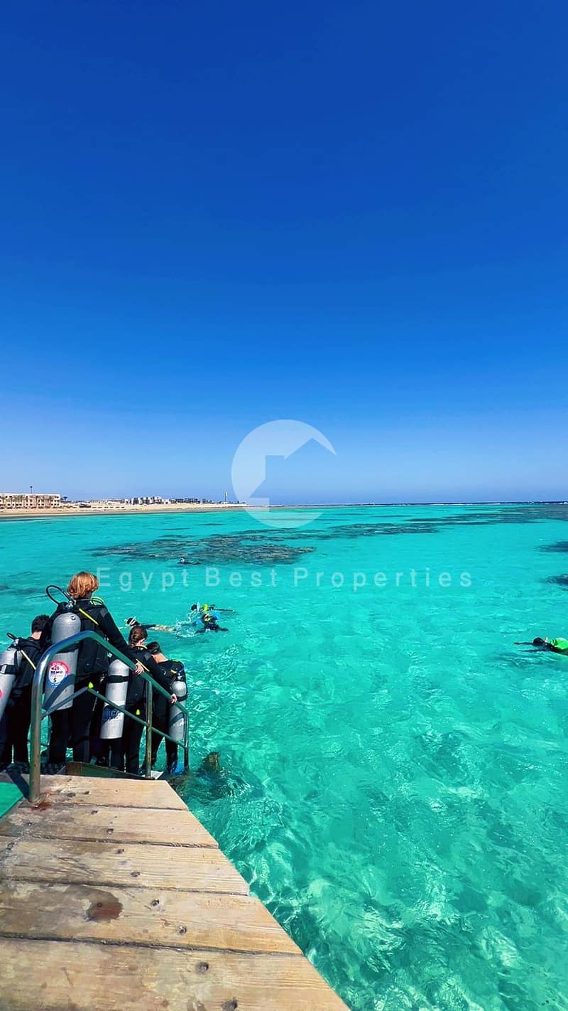 5 88e7da74-668a-45ba-a267-d449f0db9d0d. jpg