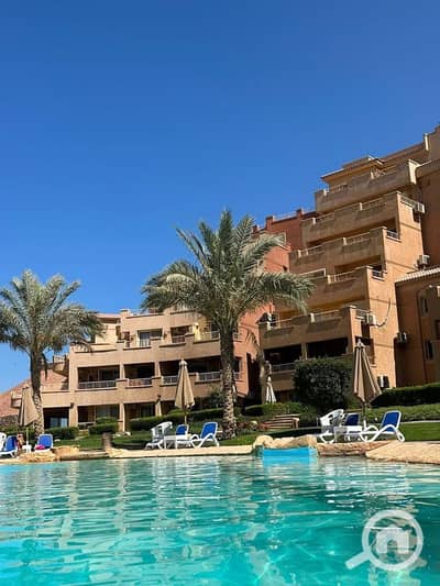 2 Bedroom Chalet for Sale in Ain Sukhna, Suez - 717516051_1040930642207297_5813570097192617544_n. jpg 2 Bedroom Chalet for Sale in Ain Sukhna, Suez - 717516051_1040930642207297_5813570097192617544_n. jpg