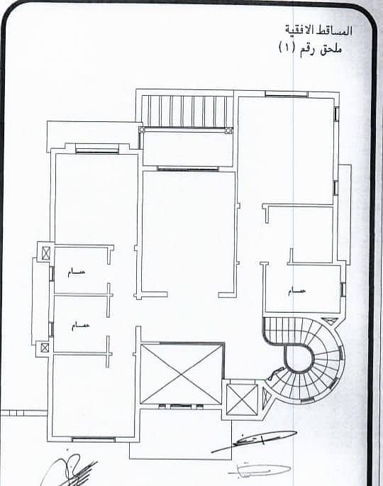 8 1000120431. jpg