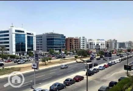10+ Beds Villa for Sale in New Cairo, Cairo - 1000120811. jpg