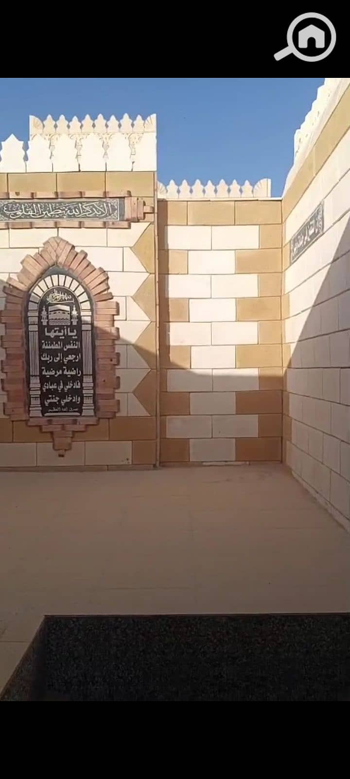 8 1000315342. png