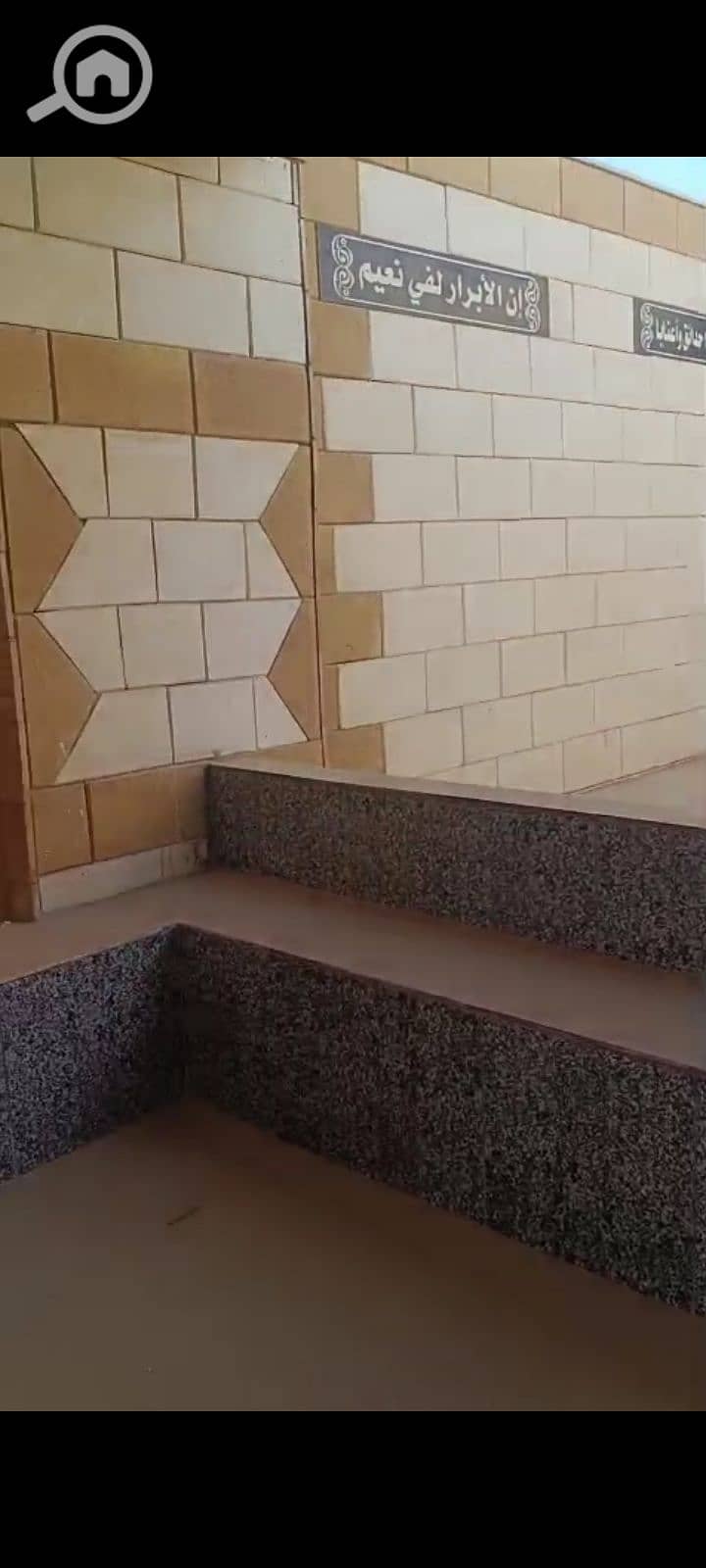 9 1000315341. png